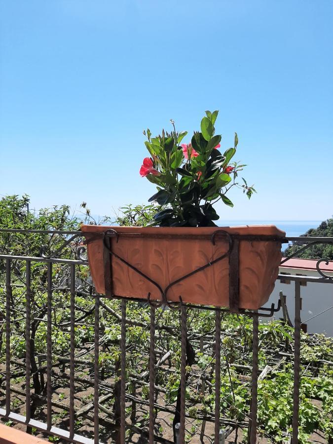 Casa Almary Apartment Amalfi Bagian luar foto
